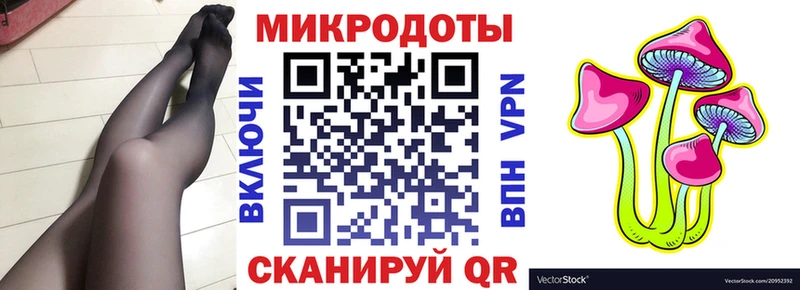 Купить закладки  Апшеронск  Галлюциногенные грибы GOLDEN TEACHER 